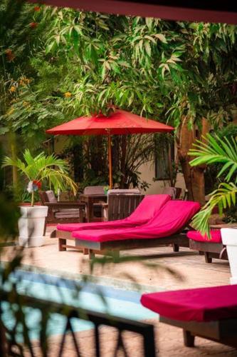 Hibiscus House Gambia in Brufut