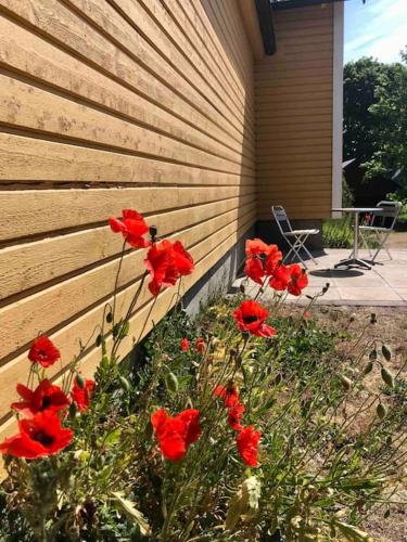 Nybyggt boende nära hav och natur. (Nybyggt boende nara hav och natur.) in Borgholm