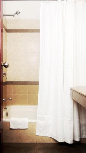 Shower, Hotel Mera Mann in Hussainganj