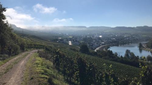 Gästehaus und Weingut Bernd Frieden