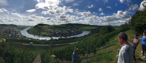 Gästehaus und Weingut Bernd Frieden