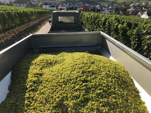 Gästehaus und Weingut Bernd Frieden