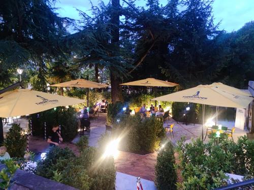BBConegliano Borlini 2