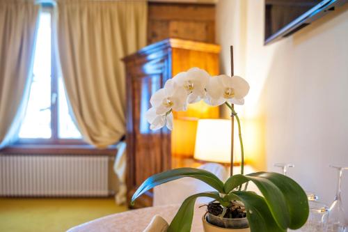 Villa Orso Grigio Room Type - Deluxe Double Room with Shower