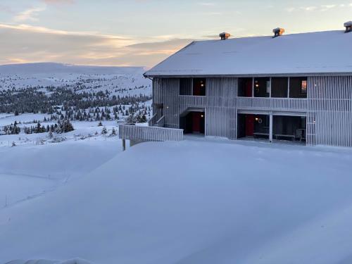 Pellestova Apartments in Oyer