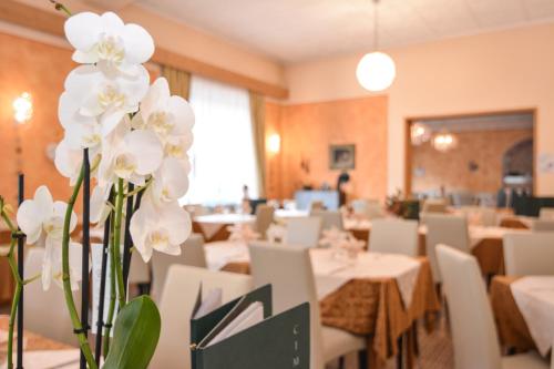 Hotel Cima d'Oro - 레스토랑