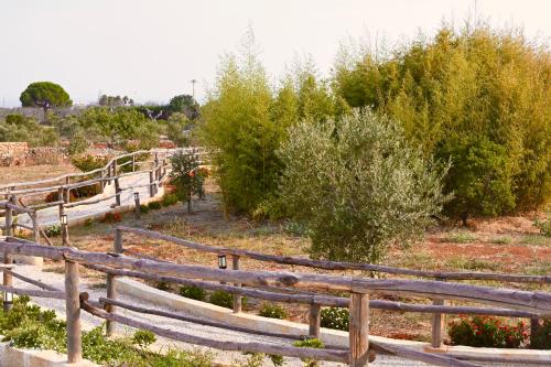 Tenuta Serre, Salve (foto 7)
