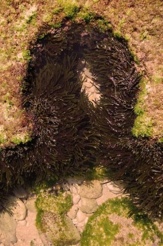 Dar Dielna Dar Dielna