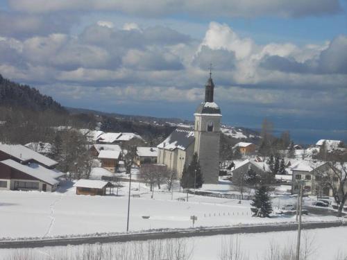 Studio cabine au cœur de la montagne Les Memises in Thollon-les-Memises