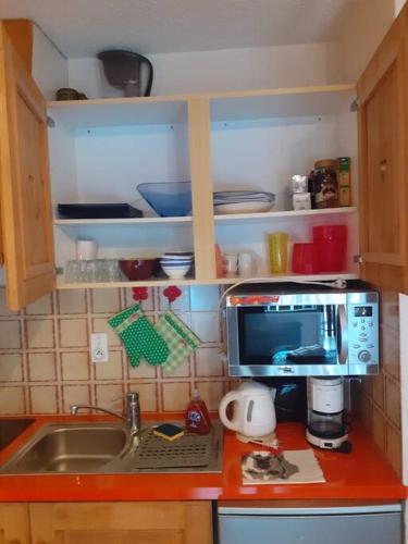 Studio cabine au cœur de la montagne Les Memises in Thollon-les-Memises