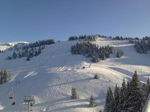 Studio cabine au cœur de la montagne Les Memises in Thollon-les-Memises