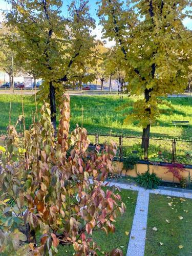 La casetta nel verde in città