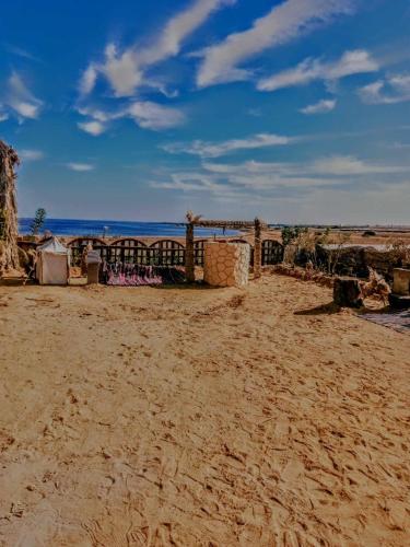 Nearby attraction, flamingo camp in Faiyum