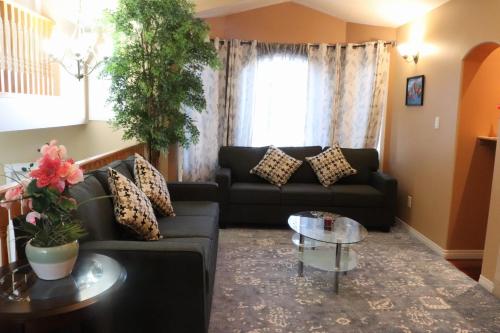 B&B Edmonton - we 4 you - Bed and Breakfast Edmonton