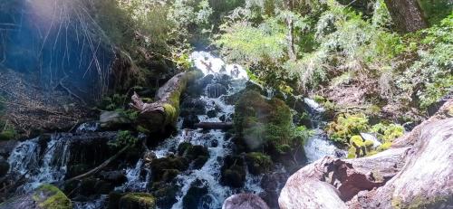 Habitación Refugio Kiñeco