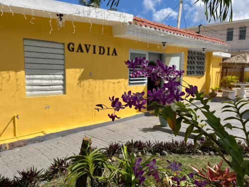 Gavidias Guest House in Caguas
