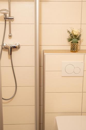 Pension Fischinger - image 3