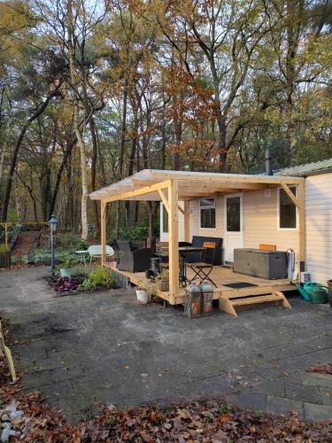  Chalet met veranda aan bosrand in Vledder