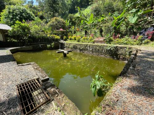 Surrounding environment, Parque Bioflora in Dosquebradas