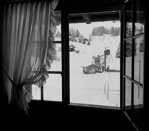 Appartement les Myosotis