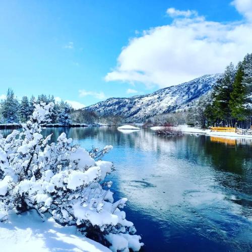 Cabañas Los Ñires (Cabanas Los Nires) in 라고 모케우에