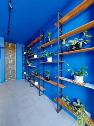 Instalações, Hermoso depto nuevo con aire acondicionado!! in Cuadricula