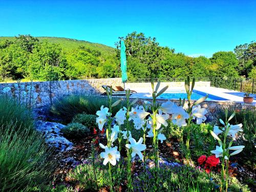 Relaxing Dalmatian house in village