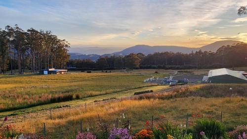 Amaroo with a view set on a 50 Acre Hobby Farm