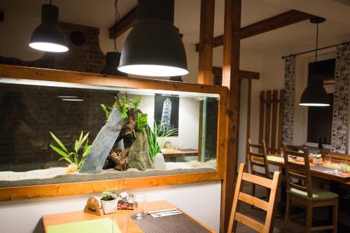 Restoran, Penzion La Piccolina in Nový Bor