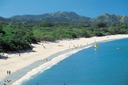 Surrounding environment, SelvaToSleep in Quepos
