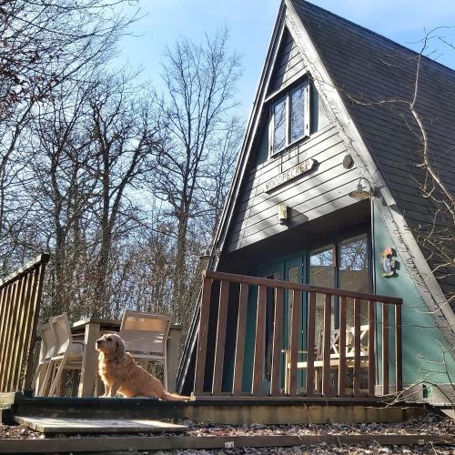 Woodpecker - bungalow 29, Durbuy (foto 4)