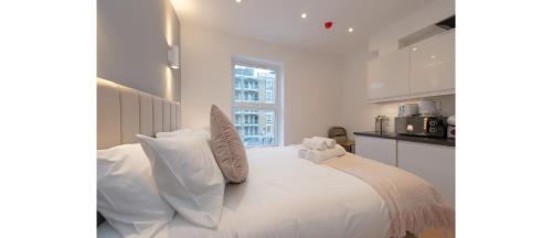 Dainty Studio Apartment Close to Everything, Londýn (fotografie 2)