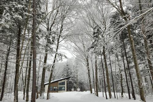 Chalet TERRE en harmonie avec la nature, Tremblant