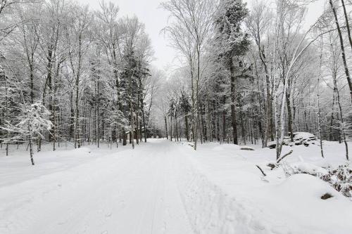 Chalet TERRE en harmonie avec la nature, Tremblant