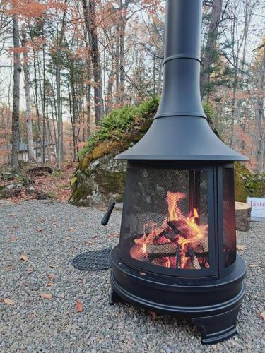 Chalet TERRE en harmonie avec la nature, Tremblant