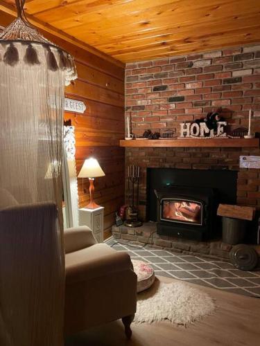 Cheerful 2-Bedroom cabin with indoor fireplace in Running Springs, USA