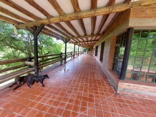 Casa Grande en Raco ideal familias in Raco