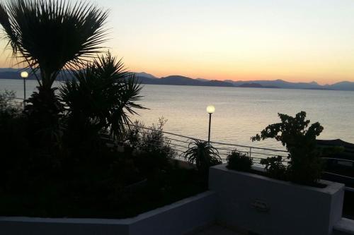 Apartment on the beach in ไซโรปิกาโด