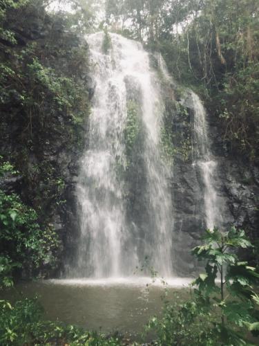 Nimbin waterfall retreat
