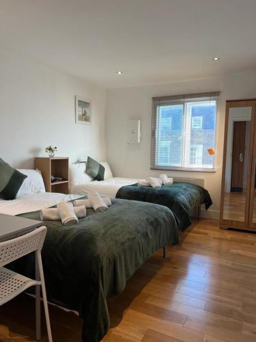 Cosy Private Rooms near Euston Station, Central London in London