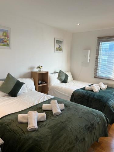 Cosy Private Rooms near Euston Station, Central London, Londyn