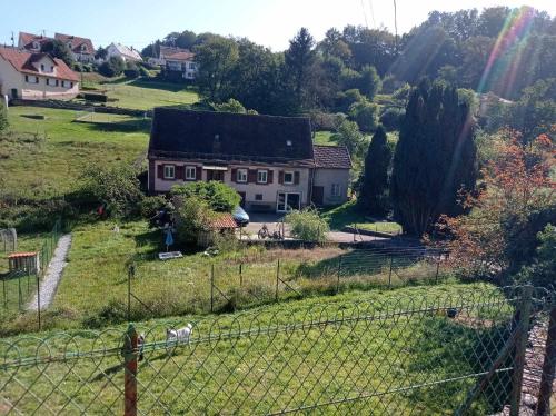 My Zen Thal - Chambre d'hôtes - Meisenthal