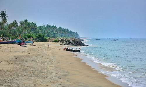 SHORE STORIES - image 5