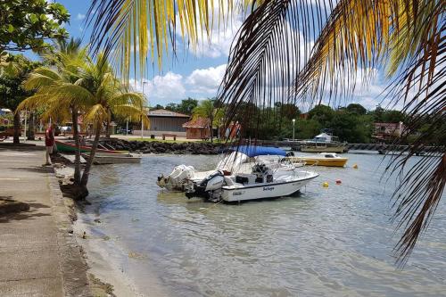 APPARTEMENT COSY TERRASSE VUE MER - TROIS ÎLETS APPARTEMENT COSY TERRASSE VUE MER - TROIS ÎLETS