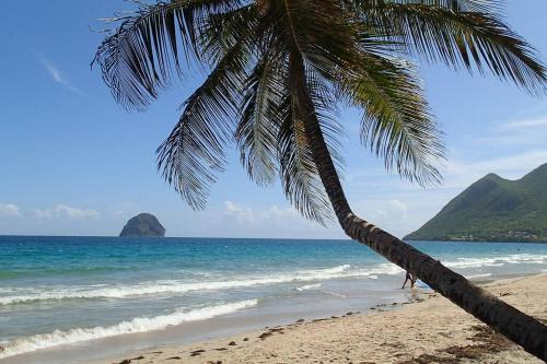 APPARTEMENT COSY TERRASSE VUE MER - TROIS ÎLETS APPARTEMENT COSY TERRASSE VUE MER - TROIS ÎLETS