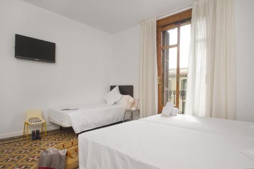 Som Nit Triomf - image 5