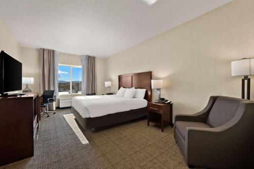 Comfort Inn & Suites Airport Reno - image 14