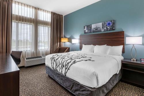 King Room with Roll-In Shower/Disability Access - Non Smoking