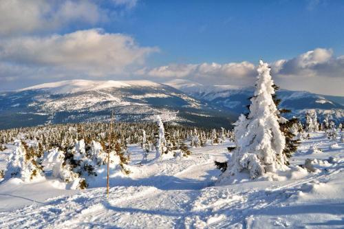 APARTMÁN KRISTÝNA (APARTMAN KRISTYNA) in สโวโบดา นัด อูโป