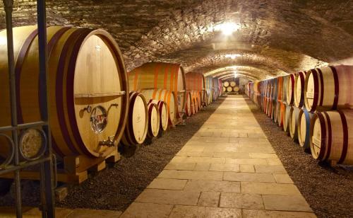 Chateau de Chassagne-Montrachet - image 5